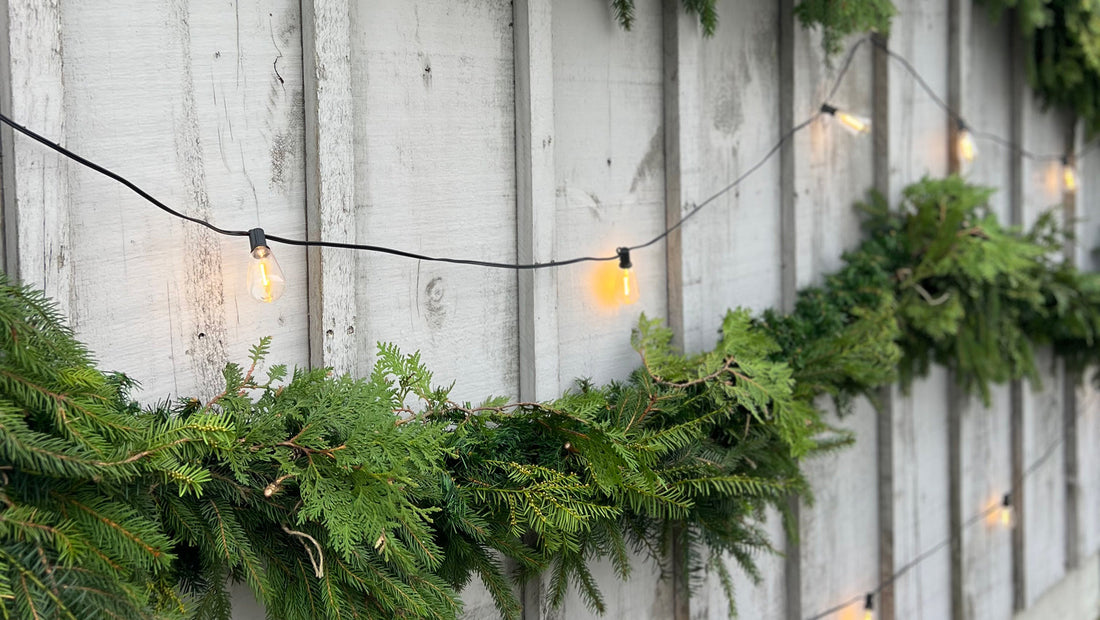 Green garland and vintage string lights hang on grey wooden wall