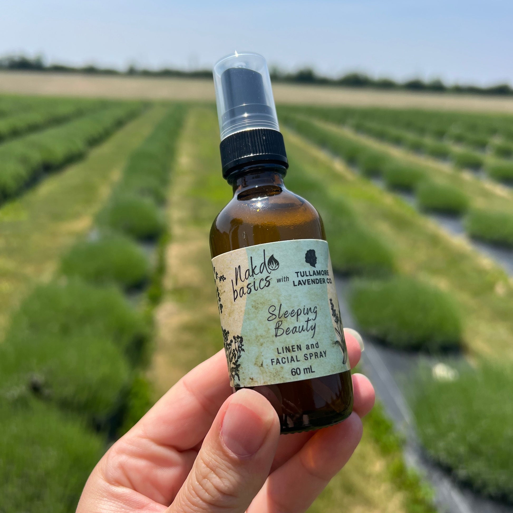 White hand holds spray bottle in front of rows of green plants. Spray bottle says "Sleeping Beauty Linen and Facial Spray"