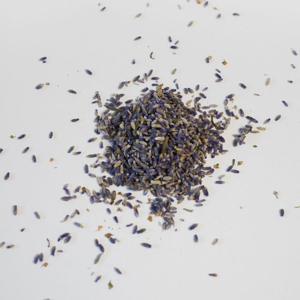 Dark purple buds in a pile on white
