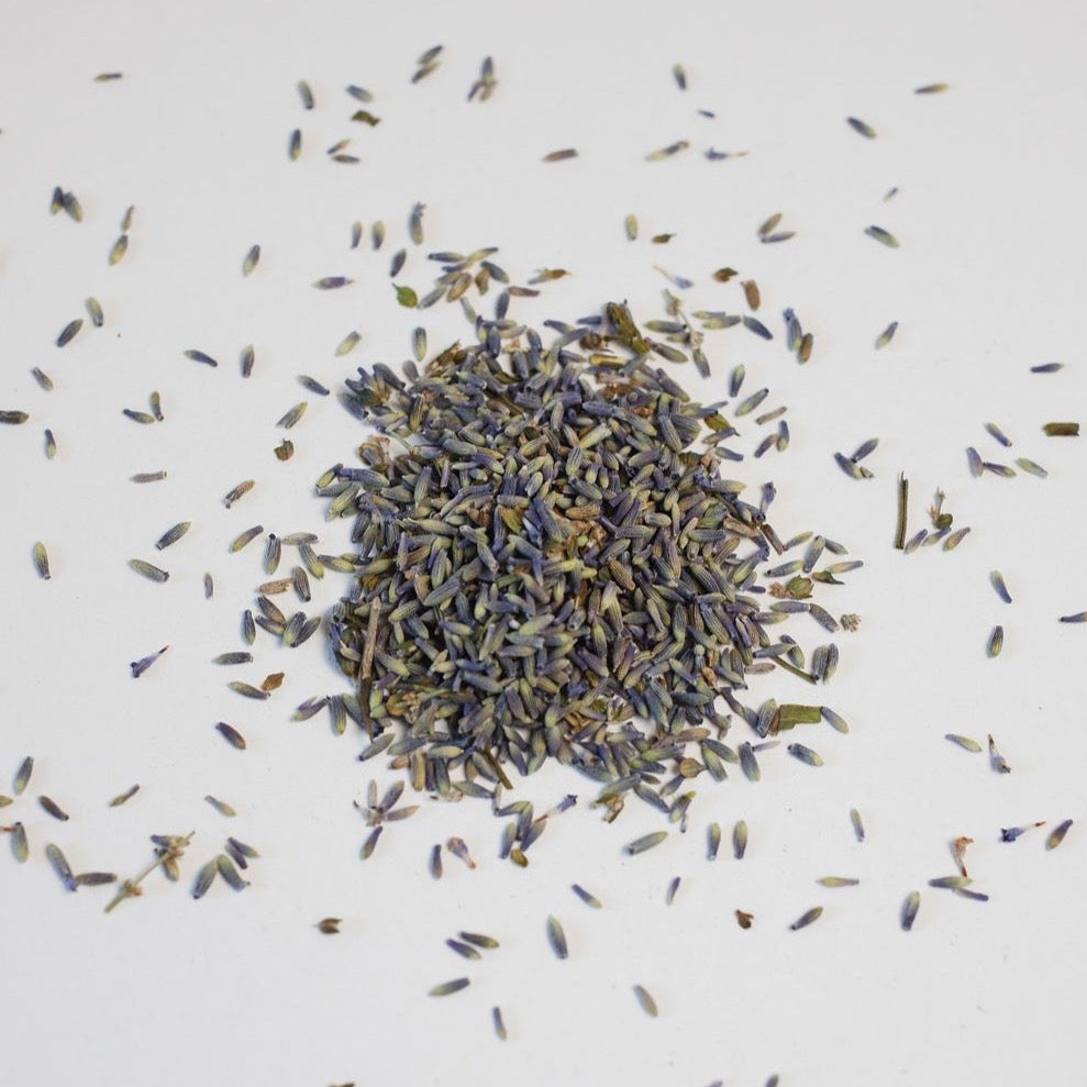 Lavender buds scattered on white backdrop