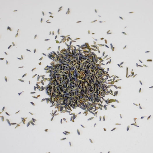 Lavender buds scattered on white backdrop