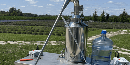 Large stainless steel container on table with large blue waterbottle; rows of lavender plants in distance