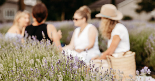 2026 Season Pass to the Lavender Fields