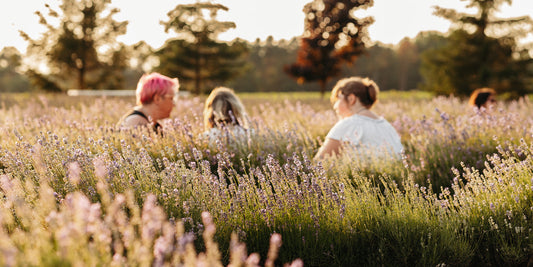 Three women sit in rows of lavender under glowing sunset