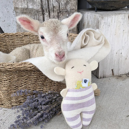 White lamb in basket beside lamb stuffed animal and bundle of dried lavender