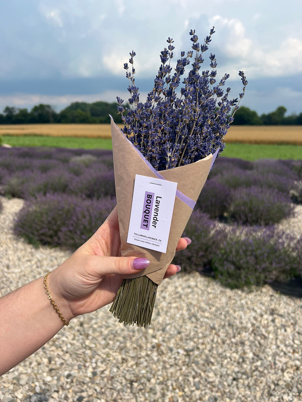 A hand holding a small bouquet of dried lavender stems wrapped in brown kraft paper with a white tag that reads 'Lavande Bouquet'. The background shows a blurred lavender field and cloudy sky.