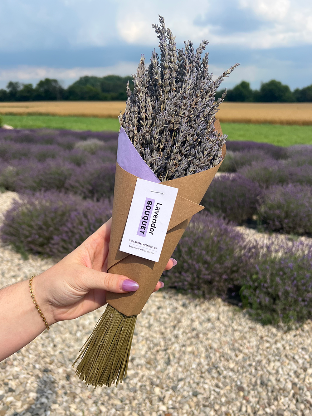 A hand holding a small bouquet of dried lavender stems wrapped in brown kraft paper with a white tag that reads 'Lavandude Bouquet'. The background shows a blurred lavender field under a cloudy sky.