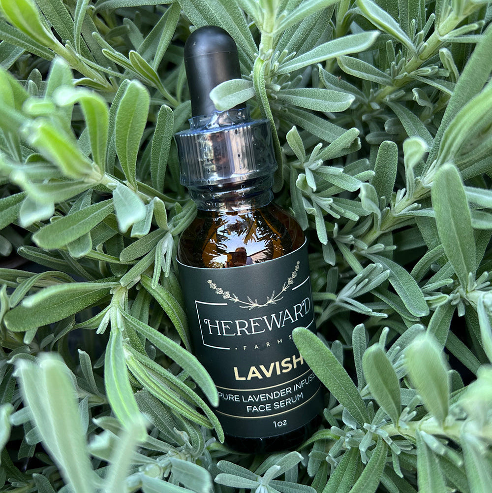 Hereward Lavender Face Serum bottle in green lush lavender plant