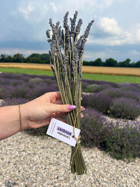 A hand holding a small bouquet of dried lavender stems tied with a white tag that reads 'Lavender Bouquet,' with a lavender field and cloudy sky in the background.