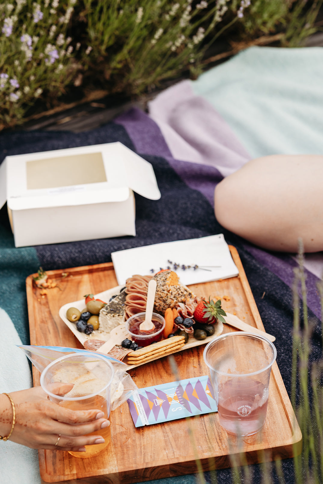 Golden Hour Picnic in the Lavender