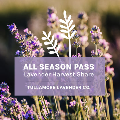 2024 Lavender Harvest Share