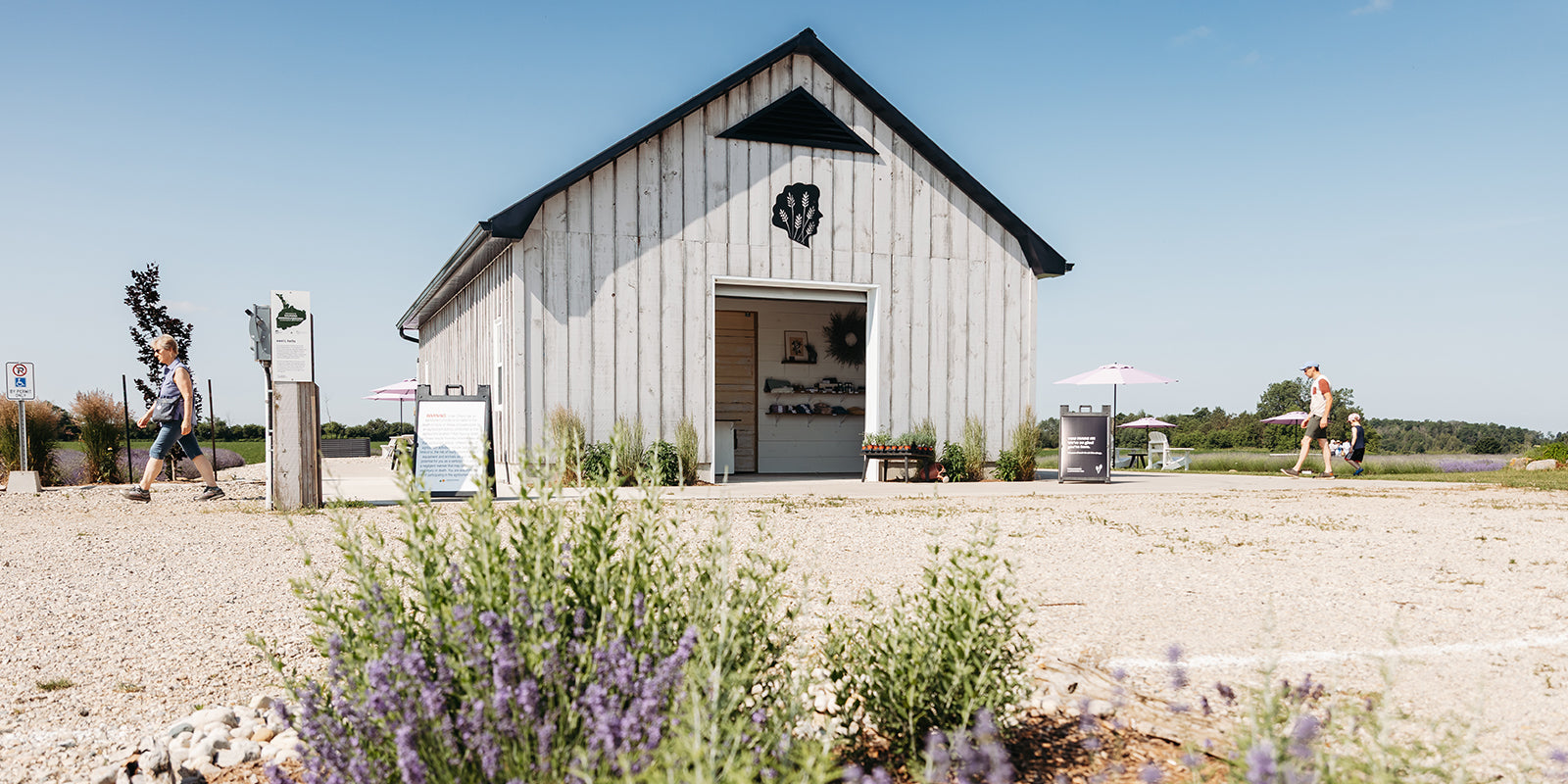 Lavender shed with open door and people and plants surrounding