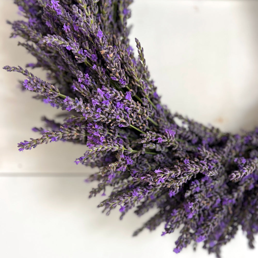 Harvest + Design Lavender Wreath Workshops